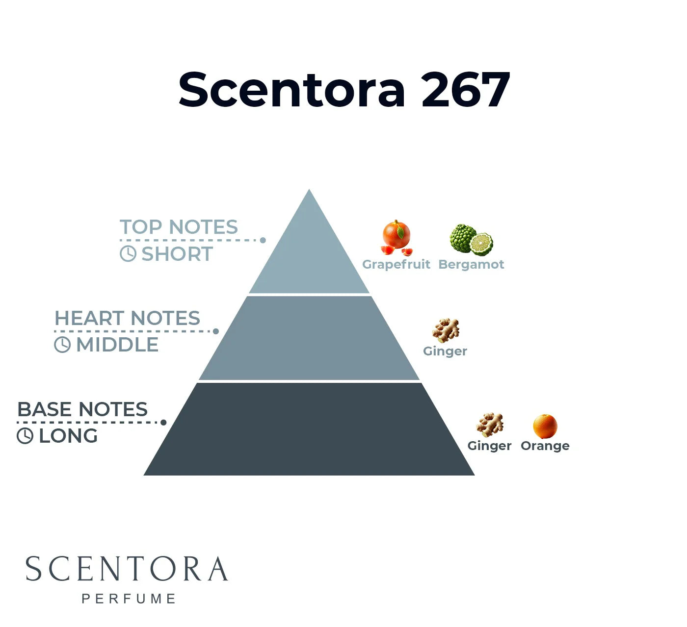 Scentora 267