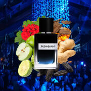 YSL Y EDP