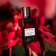Banana Republic Dark Cherry & Amber