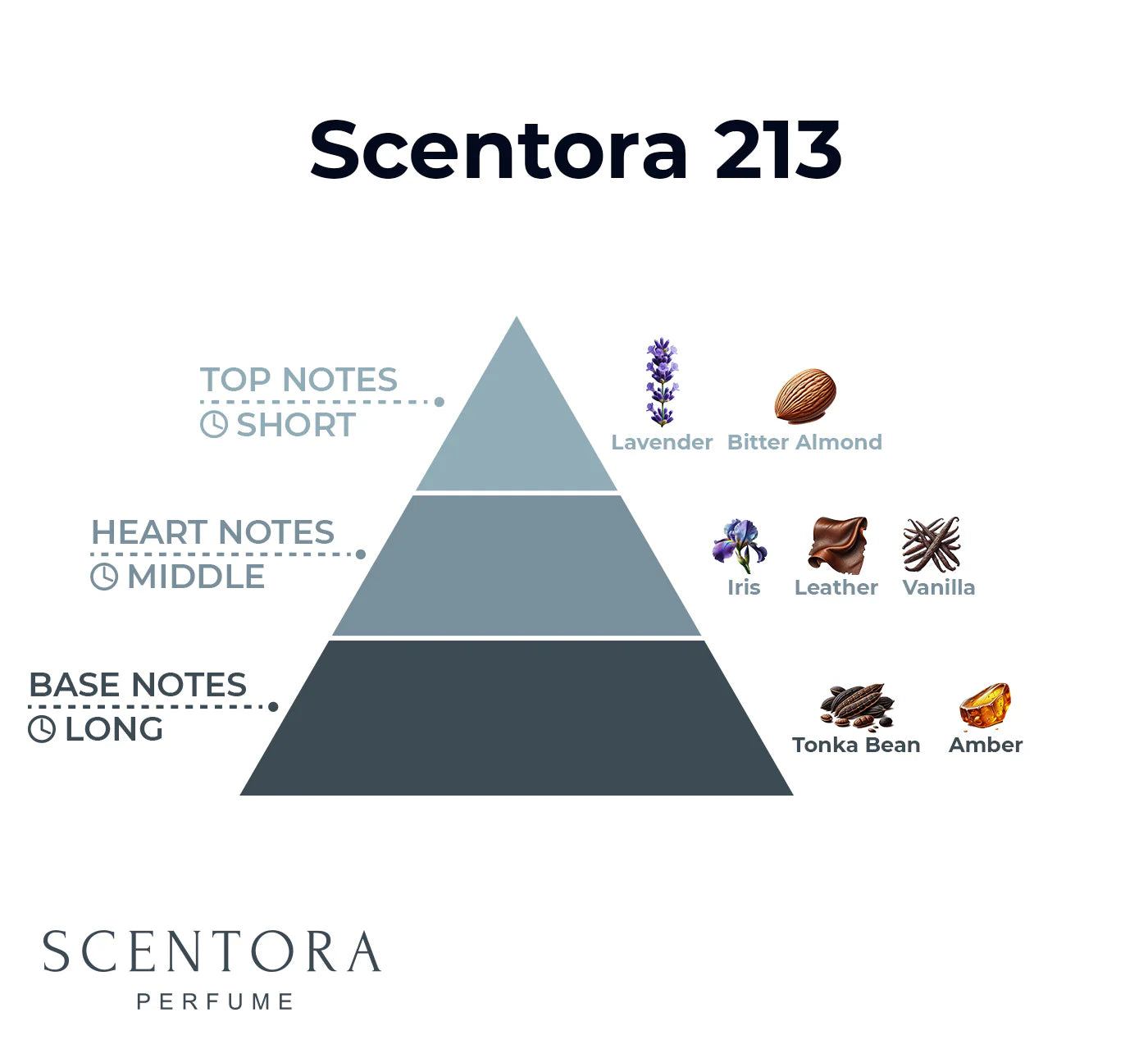 Scentora 213