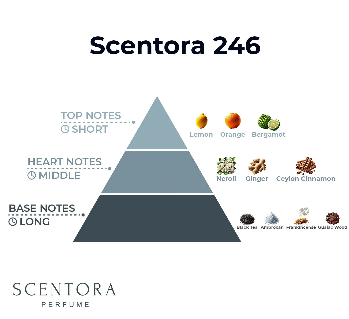 Scentora 246