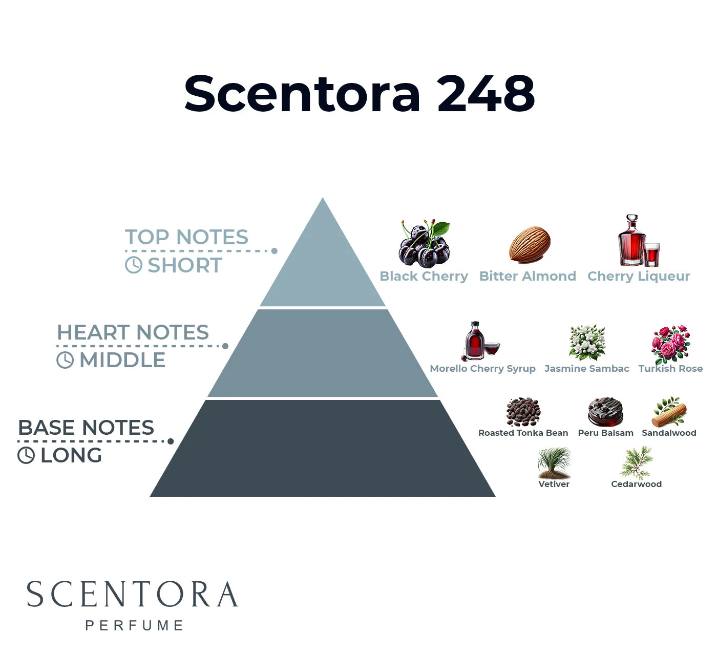 Scentora 248