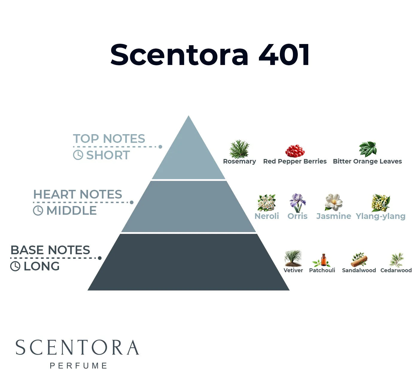 Scentora 401