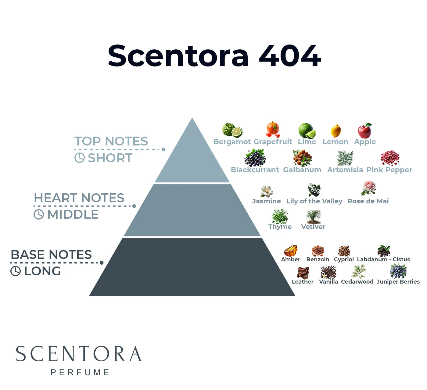 Scentora 404