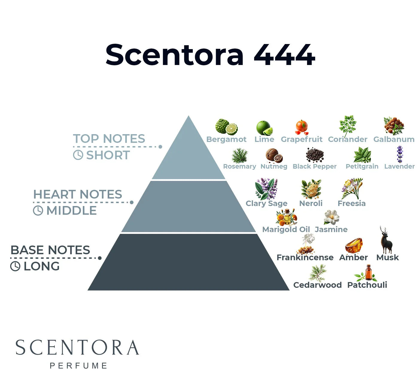 Scentora 444